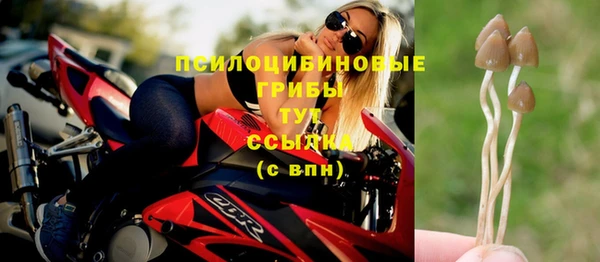 марки nbome Белокуриха