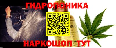 меф Лесосибирск
