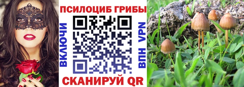 это Telegram  Гулькевичи  Псилоцибиновые грибы GOLDEN TEACHER 