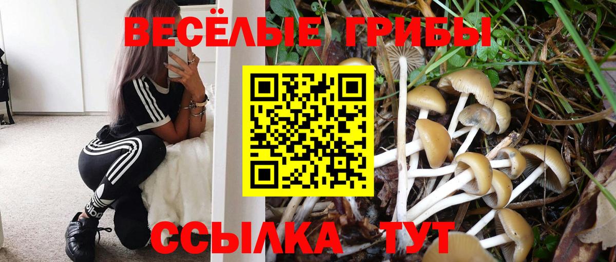Псилоцибиновые грибы прущие грибы Гулькевичи