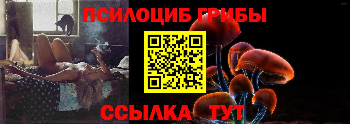Гулькевичи  Псилоцибиновые грибы мицелий  Вход с VPN  что такое наркотик  Галлюциногенные грибы Psilocybe 